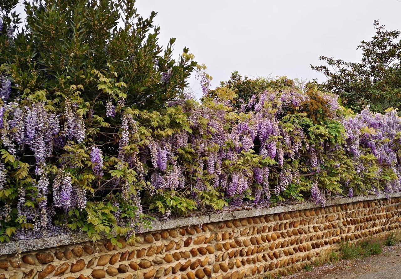 Comme A La Maison Clonas-sur-Vareze Exterior foto